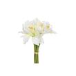 BUCHET 6 FLORI AMARYLLIS 121552