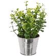 DECO PLANTE ZINC D8XH17 114754 RA1 JJA