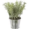 DECO PLANTE ZINC D8XH17 114754 RA1 JJA