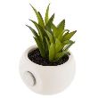 DECO PLANTA MAGN.D6 114759 JJA