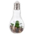 DECO PLANTE LED H18.5 114862 GL1 JJA
