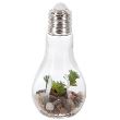 DECO PLANTE LED H18.5 114862 GL1 JJA