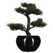 DECO BONSAI VAZA H36 116179 JJA