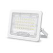 PROIECTOR LED VIDEX LUCA 30W NW VLE-F2E-305W