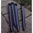 CLEME FIX.FLEXI 12N 23.5CM 2019784