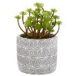 DECO PLANTE CIMENT H17 145004 GL1 JJA