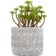 DECO PLANTE CIMENT H17 145004 GL1 JJA