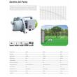 POMPA GRADINA 800w 3500LH 38M 312065