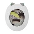 CAPAC WC BAL.ZN PRINT 3 FETZE H133 