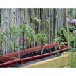 CLEME TOMATOCLIP 25B RE 2017726