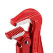 CLESTE PAPAGAL 1 RH-2510