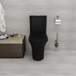 VAS WC COMPACT RIMLESS FLUSH B-2366A BLACK MATT