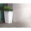 GHIVECI RATO LOW DRTS400-S449