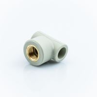 TEU PPR GRI 25X3/4 FI PP.TGW25034