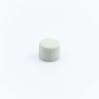 CAPAT PPR GRI FY25 PP.ZA025