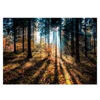 GLASSPIK 70X100 EX590 AUTUMN SUNSET GL-01384