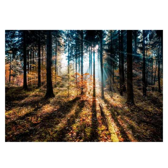 GLASSPIK 70X100 EX590 AUTUMN SUNSET GL-01384