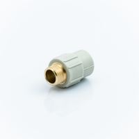 RACORD PPR GRI 25X1/2 FE PP.MGZ25012