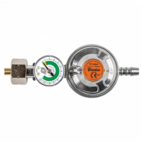 REGULATOR GAZ RG A310IE-M