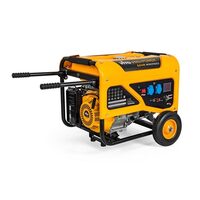 GENERATOR MONOFAZAT 6.5KVA CU ROTI VIG65RL