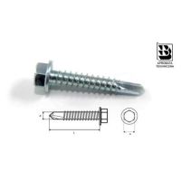 SURUB AUTOF.HEX.WS 5-5.5X50 250B
