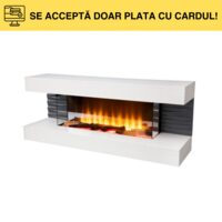 SEMINEU ELECTRI PANORAMIC FKK10