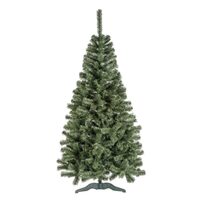 XMAS BRAD LENA 2.50M