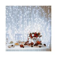 XMAS PERDEA DE LUMINI LED 2X1 DLF210/WH