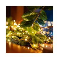 XMAS GHIRLANDA MICROLED ML30/WW