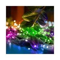 XMAS GHIRLANDA MICROLED ML30/M