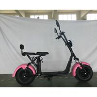 SCOOTER EL.1500W MODEL ZLEB-09 CALIMANI 60V20AH