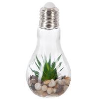 DECO PLANTE LED H18.5 114862 GL1 JJA