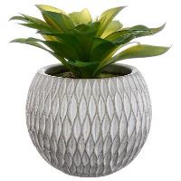DECO PLANTE CIMENT H17 145004 GL1 JJA