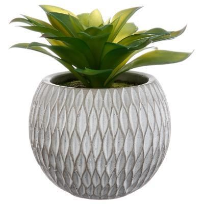 DECO PLANTE CIMENT H17 145004 GL1 JJA