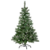 XMAS BRAD MORNING 1.5M 121873 JJA