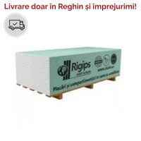 PLACA RIGIPS RBI MIC 12.5X600X2000