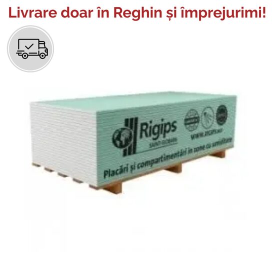 PLACA RIGIPS RBI MIC 12.5X600X2000