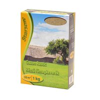 GAZON RUSTIC 1KG TERMICE