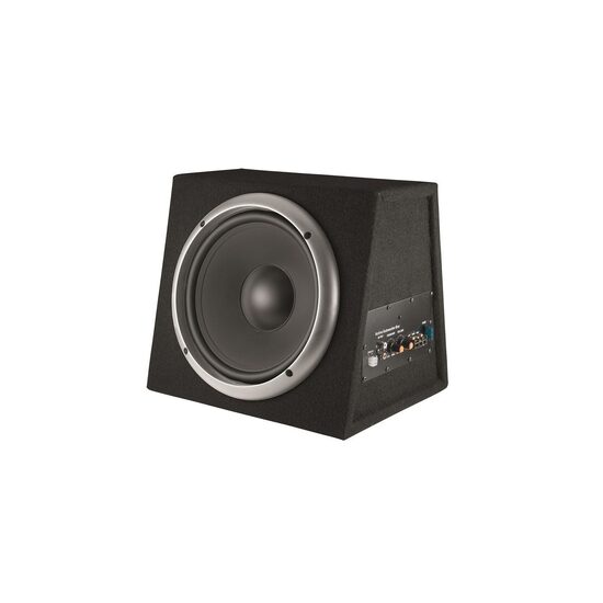 BOXA DE BASS ACTIVA 250MM BS 10/A