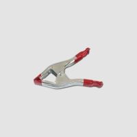 CLEMA METALICA 100MM P18254 XTLine