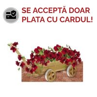 CARUCIOR LEMN PT.FLORI KG15200