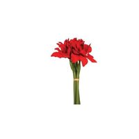 BUCHET 6 FLORI AMARYLLIS 121552