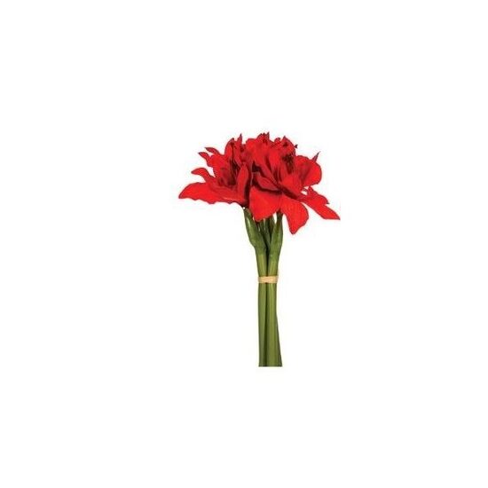 BUCHET 6 FLORI AMARYLLIS 121552