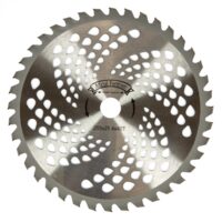 DISC MOTOCOSITOARE 40T 255X25.4X1 GF-2583