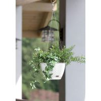 GHIVECI AGATAT RATOLLA ROUND DRLW215-440U Prosperplast