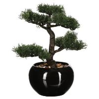 DECO BONSAI VAZA H36 116179 JJA