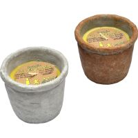 LUM.CITRONELLA ROMA X1 VERDE 8543930