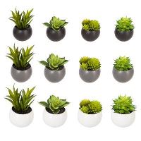 DECO PLANTA MAGN.D6 114759 JJA