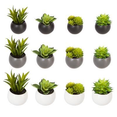 DECO PLANTA MAGN.D6 114759 JJA