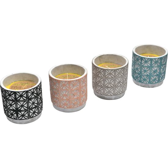 LUM.CITRONELLA RIAD X1 8545953